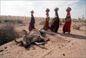 Drought Cost
