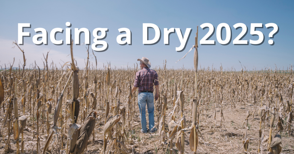 Facing a dry 2025?