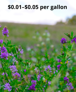 Alfalfa water value